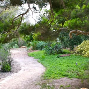 San Diego Botanic Garden