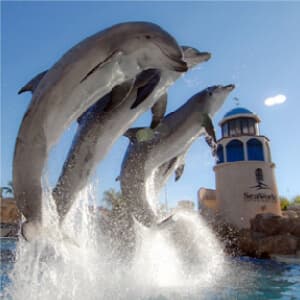Sea World