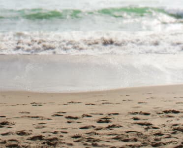 Path leading to the beach